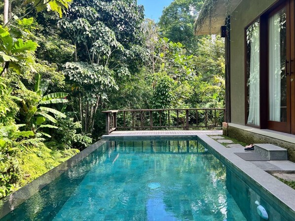 Pool - Private Serenity in Bali Natural KDV4 (Bali)