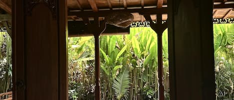 View from property