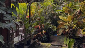 A garden pathway surrounded by lush greenery and potted plants. - Darta Ubud Joglo Villa by EPS (Ubud)
