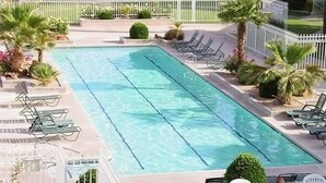 Piscina rectangular con agua cristalina, rodeada de sillas de descanso y palmeras.