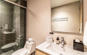 Ducha, secador de pelo, toallas