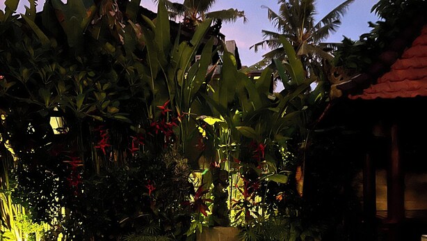 Una piscina rectangular rodeada de exuberante vegetación tropical y un muro de piedra.