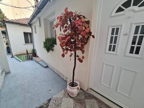 Détail de l’extérieur