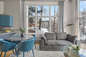 Smart TV, fireplace, books