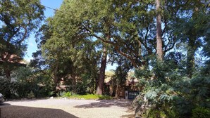 A gravel driveway leading to a gated area with a stone wall and dense foliage.