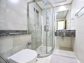 Shower, hair dryer, bidet, towels