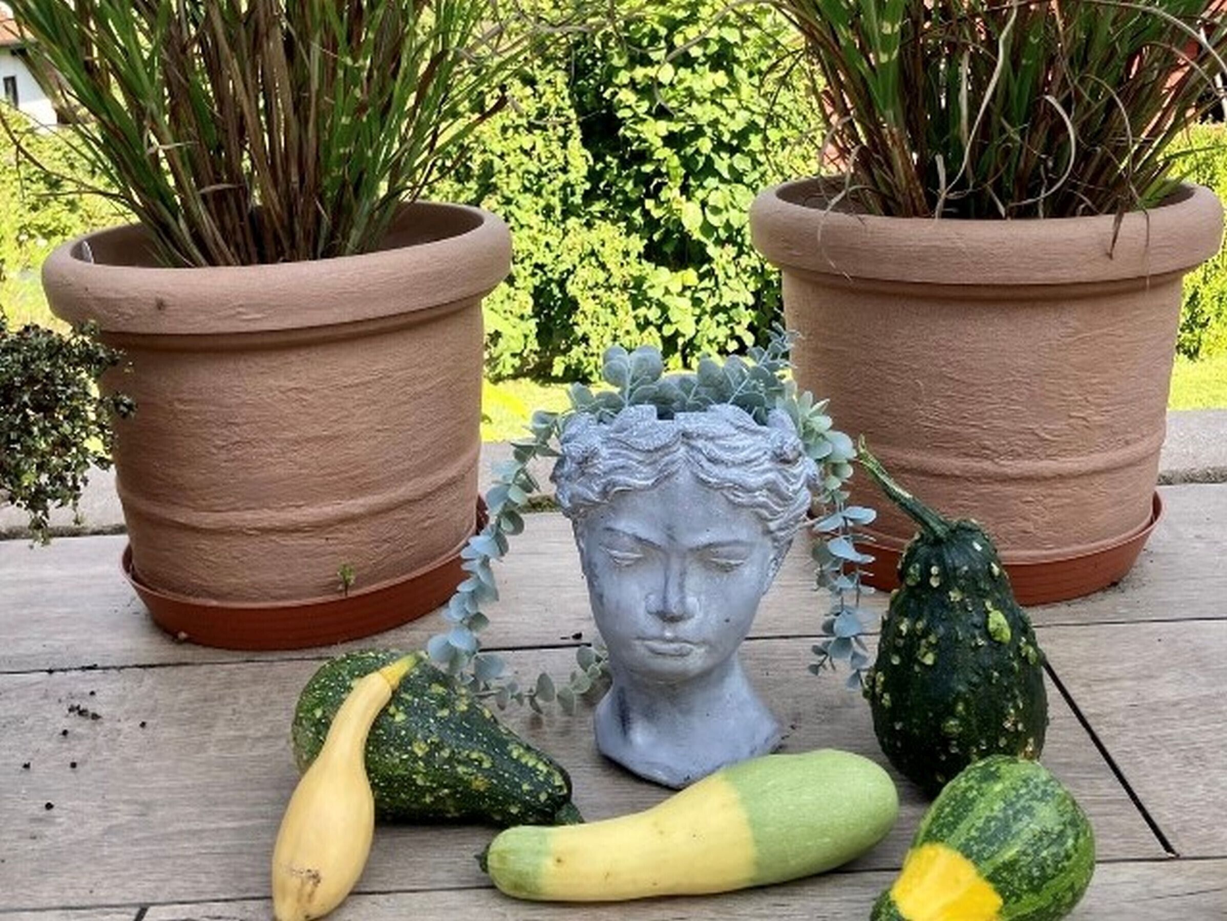 A garden with potted plants and a sculpture.
