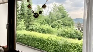 Una ventana con vista a un paisaje verde, un adorno colgante y una superficie de madera con una planta.