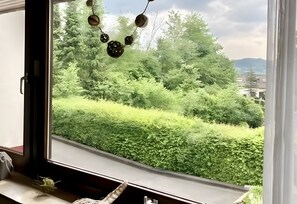 Interior - Holiday Home with Garden, Terrace and Wi-Fi (Sundern)