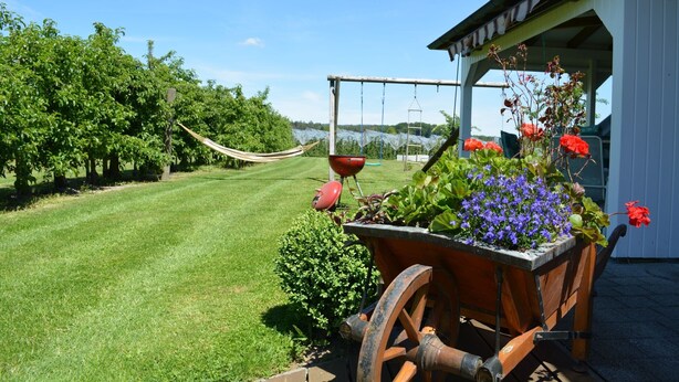 A garden with a hammock, a wheelbarrow with flowers, and a building with a porch. - Apartment 'Plocher' with Lake View, Shared Garden and Wi-Fi (Immenstaad am Bodensee)