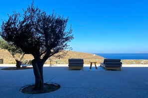 Un área de estar al aire libre con dos sofás y una mesa, un árbol y vistas al mar.