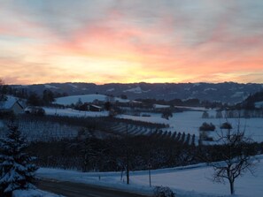 Miscellaneous - Holiday Apartment 'Braun' with Mountain View and Wi-Fi (Lindau)