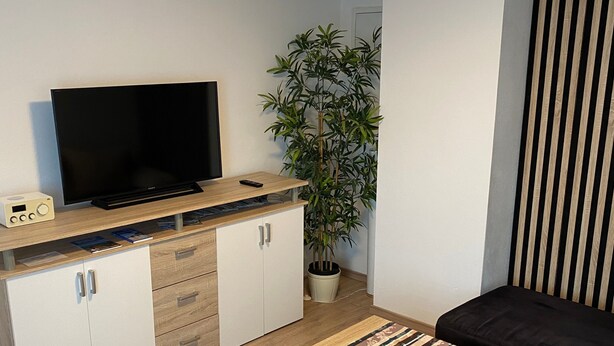 A modern living room with a flat-screen TV, a wooden cabinet, a potted plant, a striped bench, and a black sofa. - Holiday Apartment 'Braun' with Mountain View and Wi-Fi (Lindau)