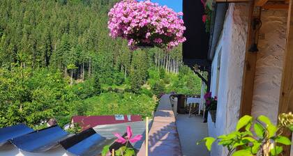 Ferienwohnung 'Schwarzwaldglück' mit Bergblick, Gemeinschaftsterrasse und Wi-Fi