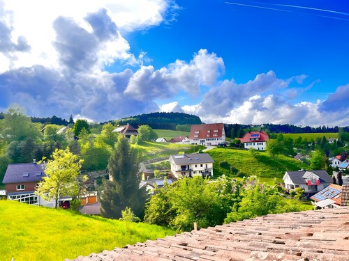 Ferienwohnung 'Schwarzwaldglück' mit Bergblick, Gemeinschaftsterrasse und Wi-Fi