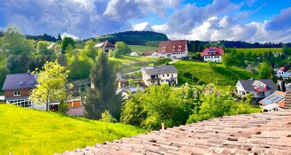 Ferienwohnung 'Schwarzwaldglück' mit Bergblick, Gemeinschaftsterrasse und Wi-Fi