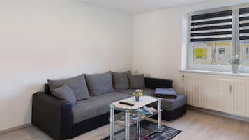 Fernseher