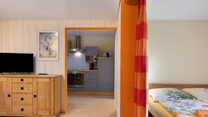 A room with a bed, a TV, a wooden cabinet, a kitchen area, and a bathroom visible through an open door. - Studio '30 sqm' with Wi-Fi in Historic Four-Sided Farmhouse (Friedewald)