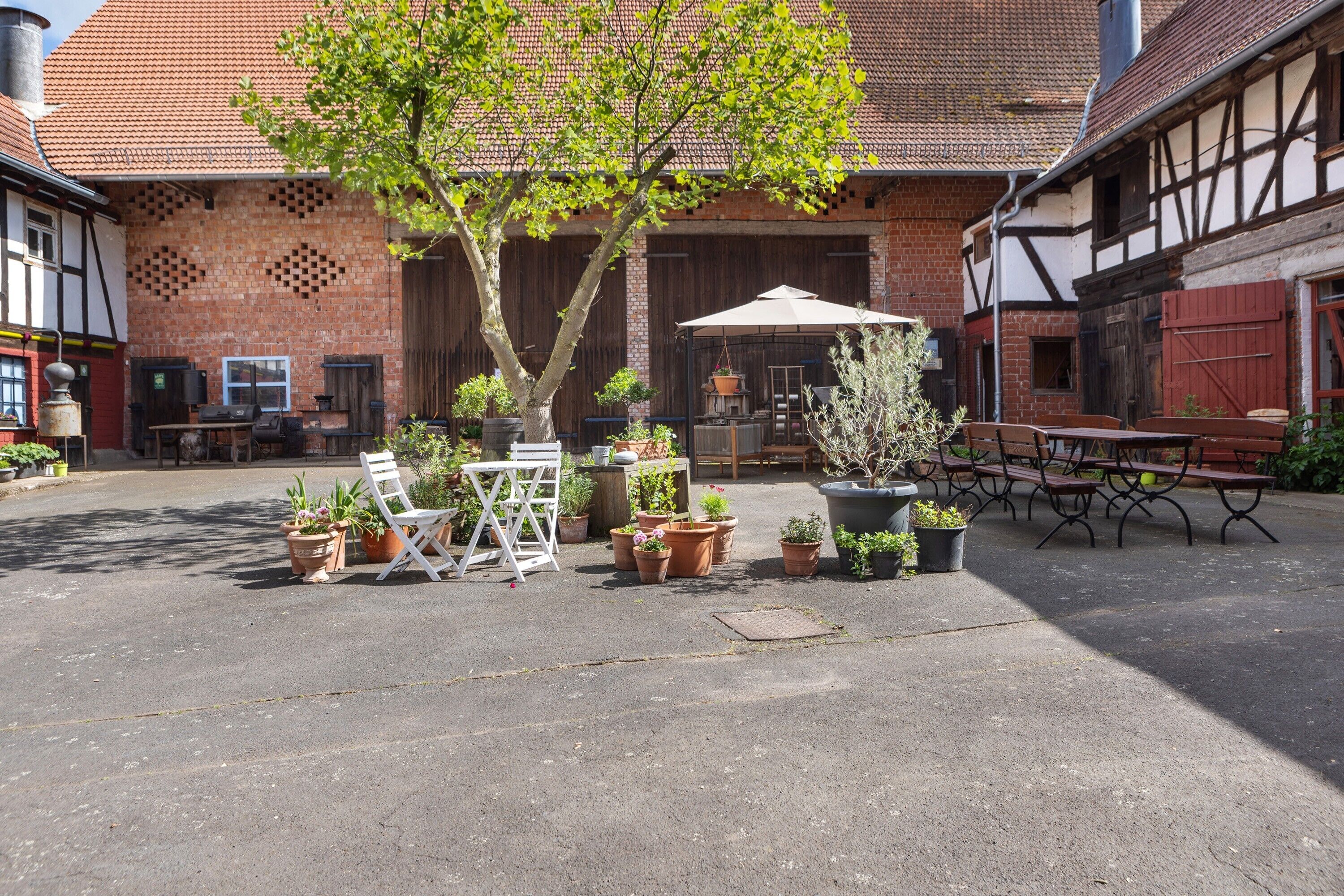 A courtyard with a tree, potted plants, outdoor furniture, and a building with exposed timber framing.