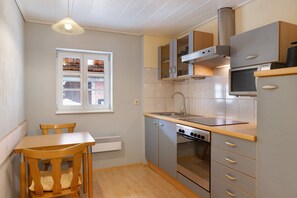 Fridge, microwave, oven, stovetop - Studio '30 sqm' with Wi-Fi (Friedewald)