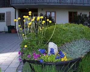 Detalj exteriör