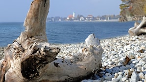 Escena costera con ramas de madera a la orilla, un mar tranquilo y edificios a lo lejos.