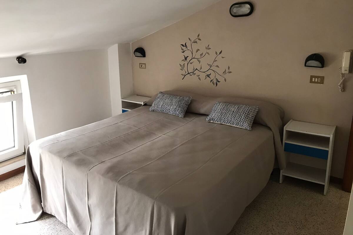 Basic Double Room