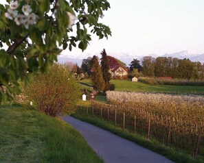 Parco della struttura