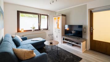 Fernseher