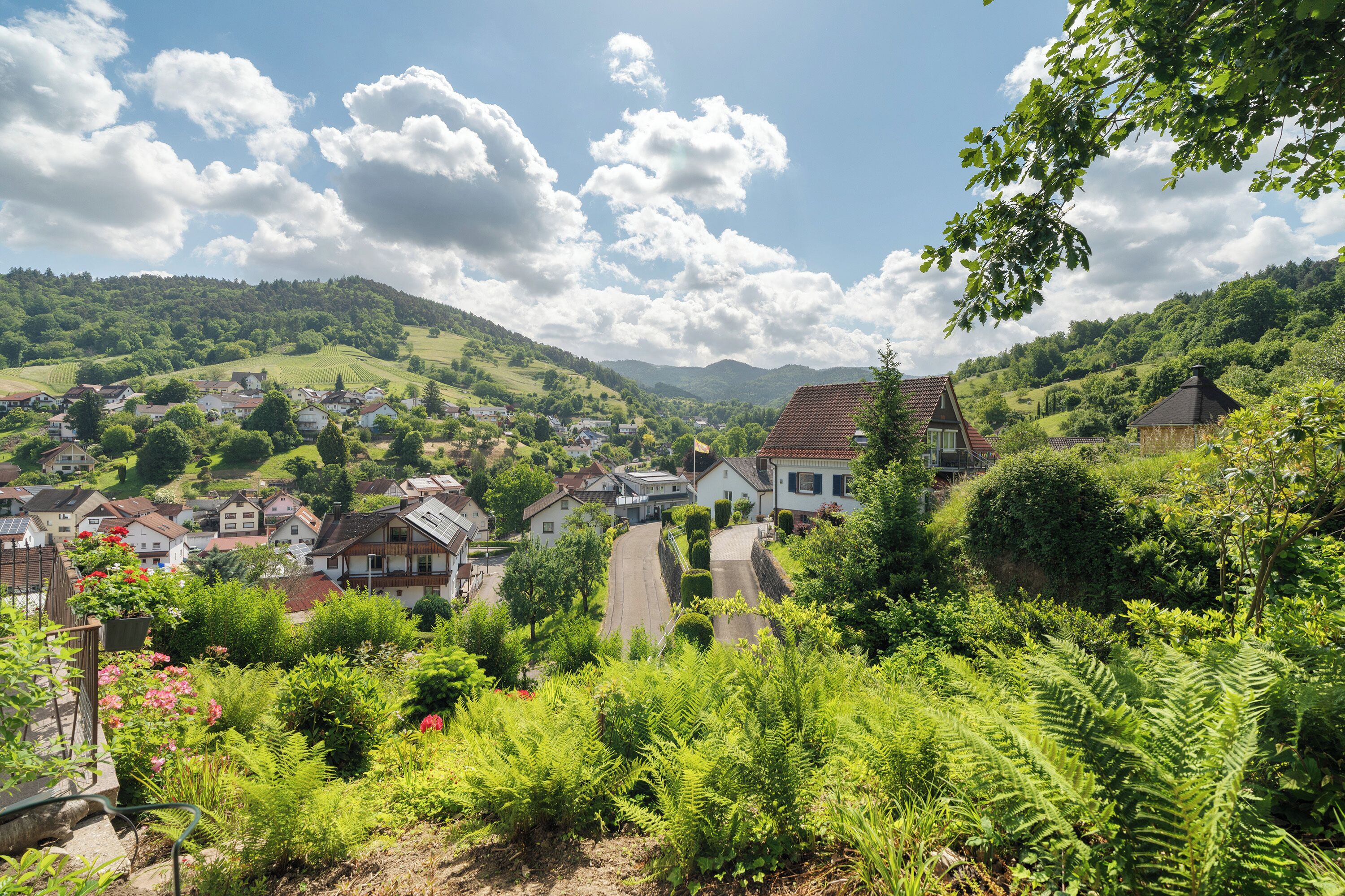 Àrea exterior de l'allotjament