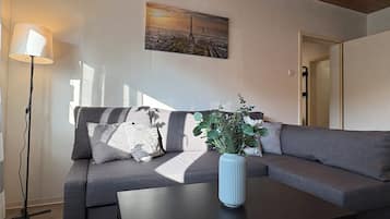 TV connectée, livres