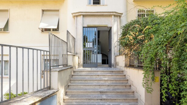 A set of stone steps leading to a building entrance, flanked by a metal railing and a green plant.