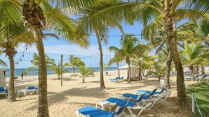 Une plage bordée de palmiers, avec des chaises longues et une vue sur l’océan.