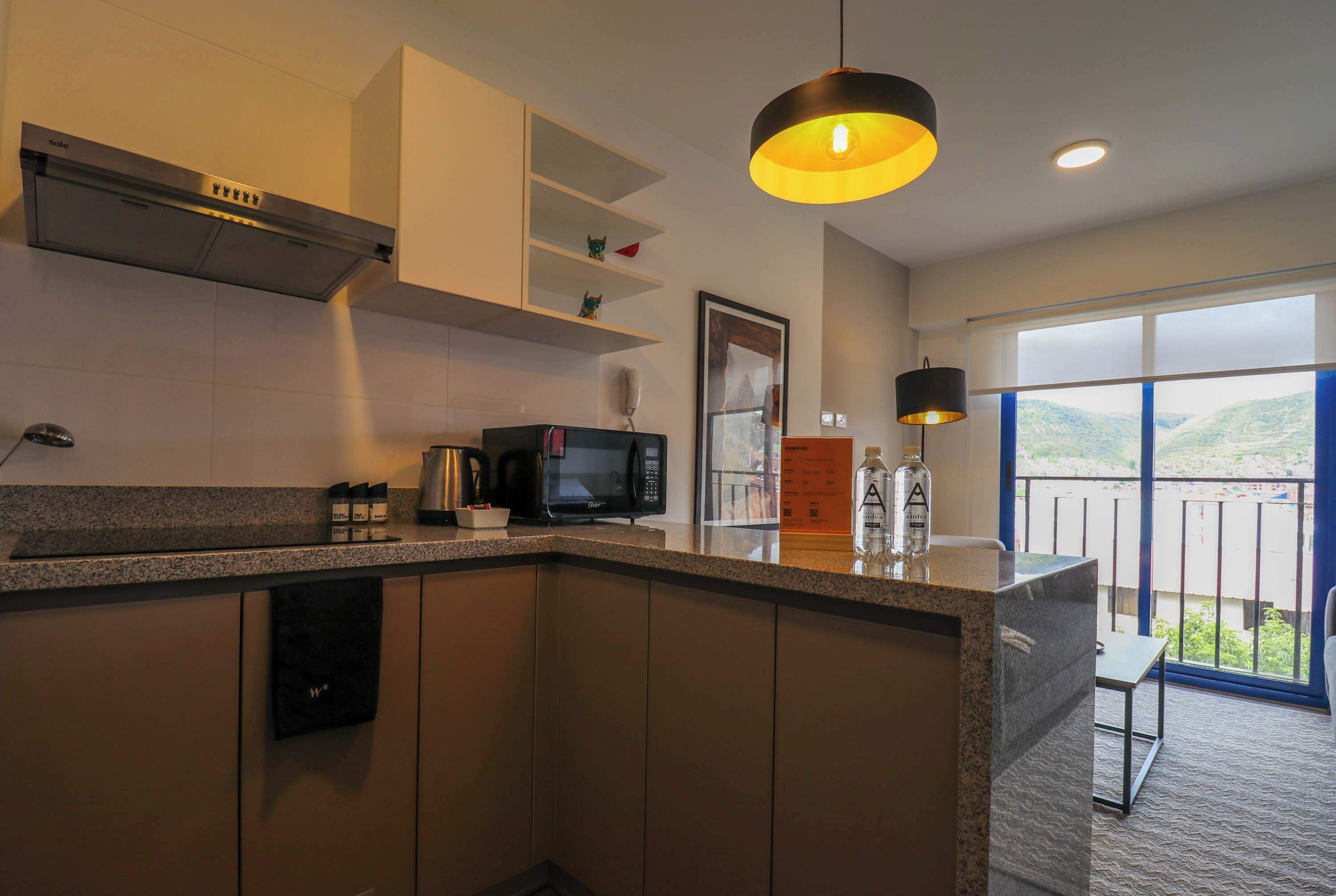 A modern kitchen with a microwave, coffee maker, and a built-in oven. There is a large window offering a view of the outdoors.