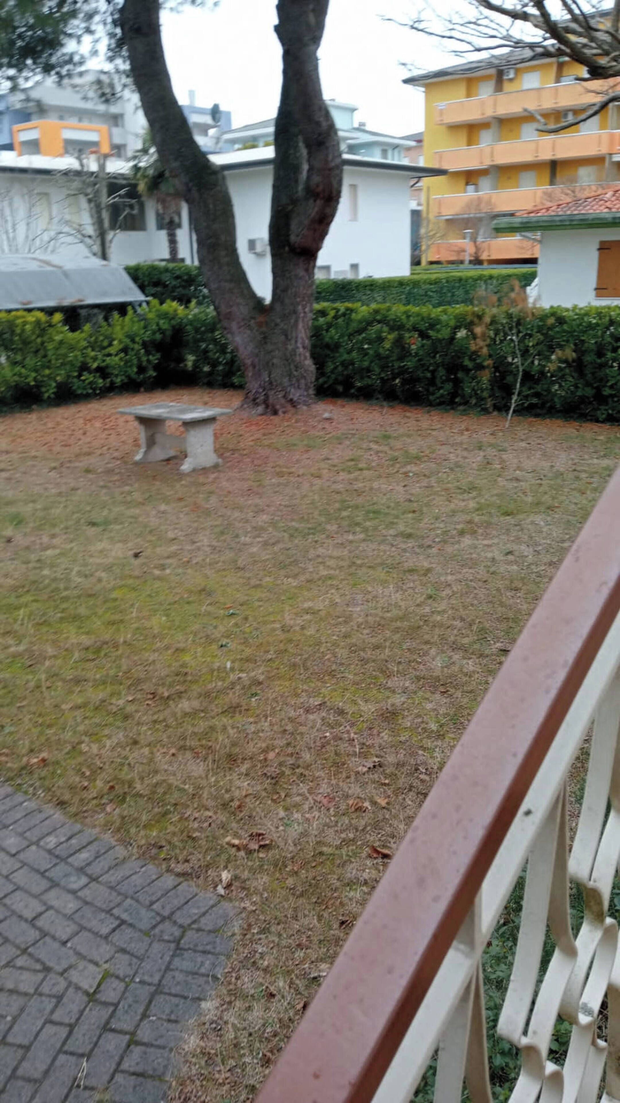 A grassy area with a bench, a tree, and a building in the background.