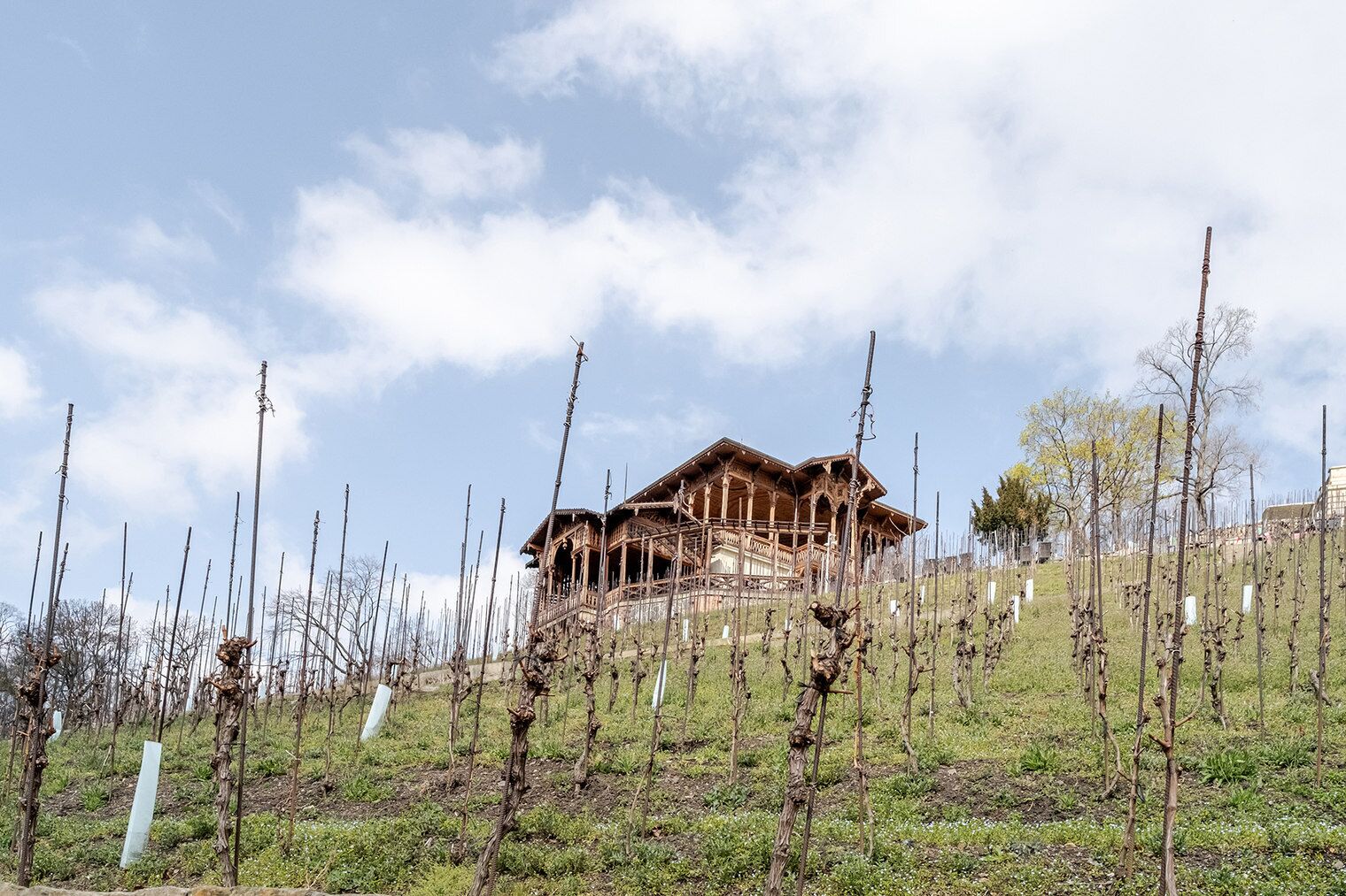 Une maison traditionnelle en bois, dotée d’un balcon, entourée d’un vignoble où s’étendent des rangées de vignes.