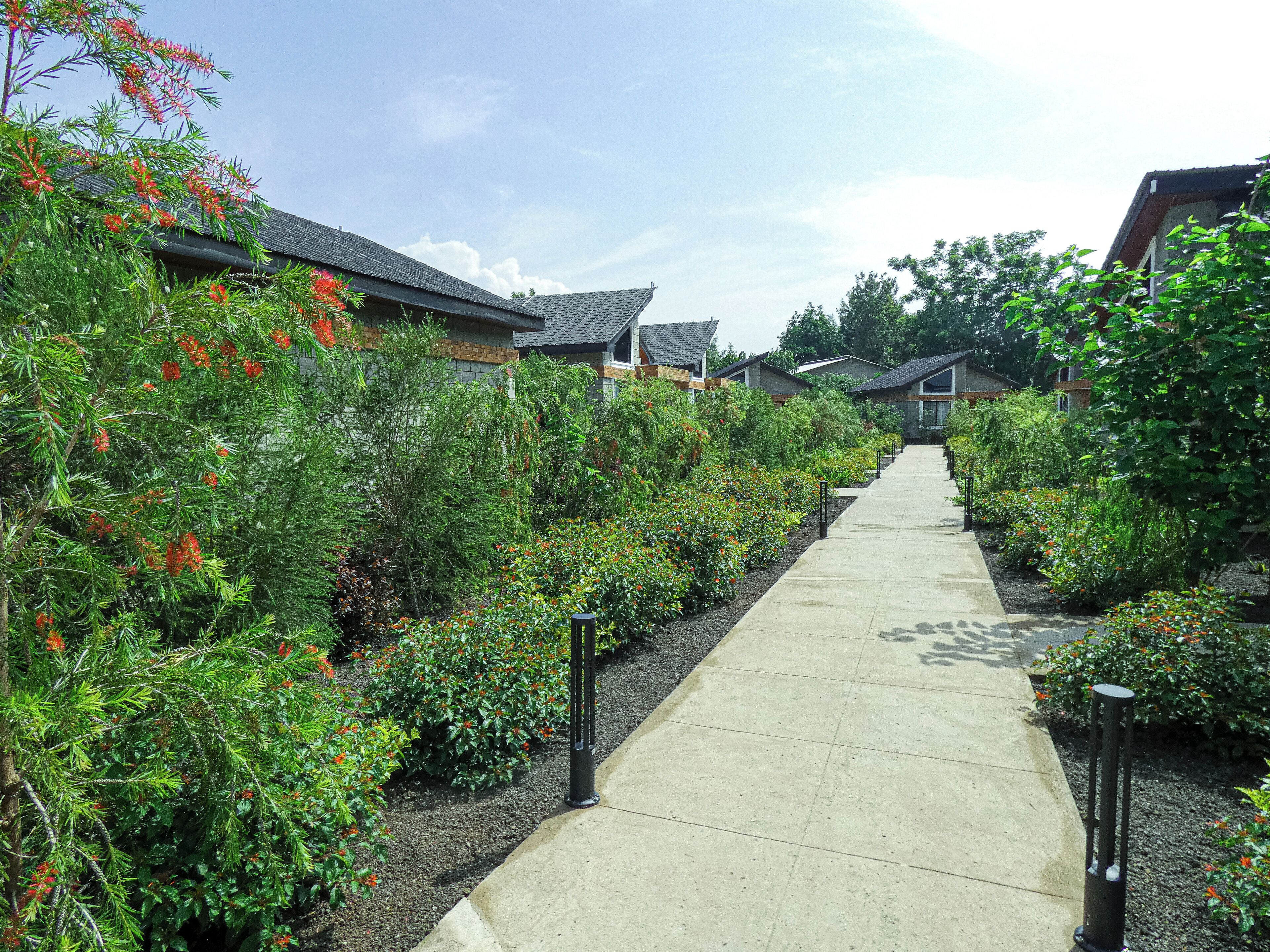 Land view from property