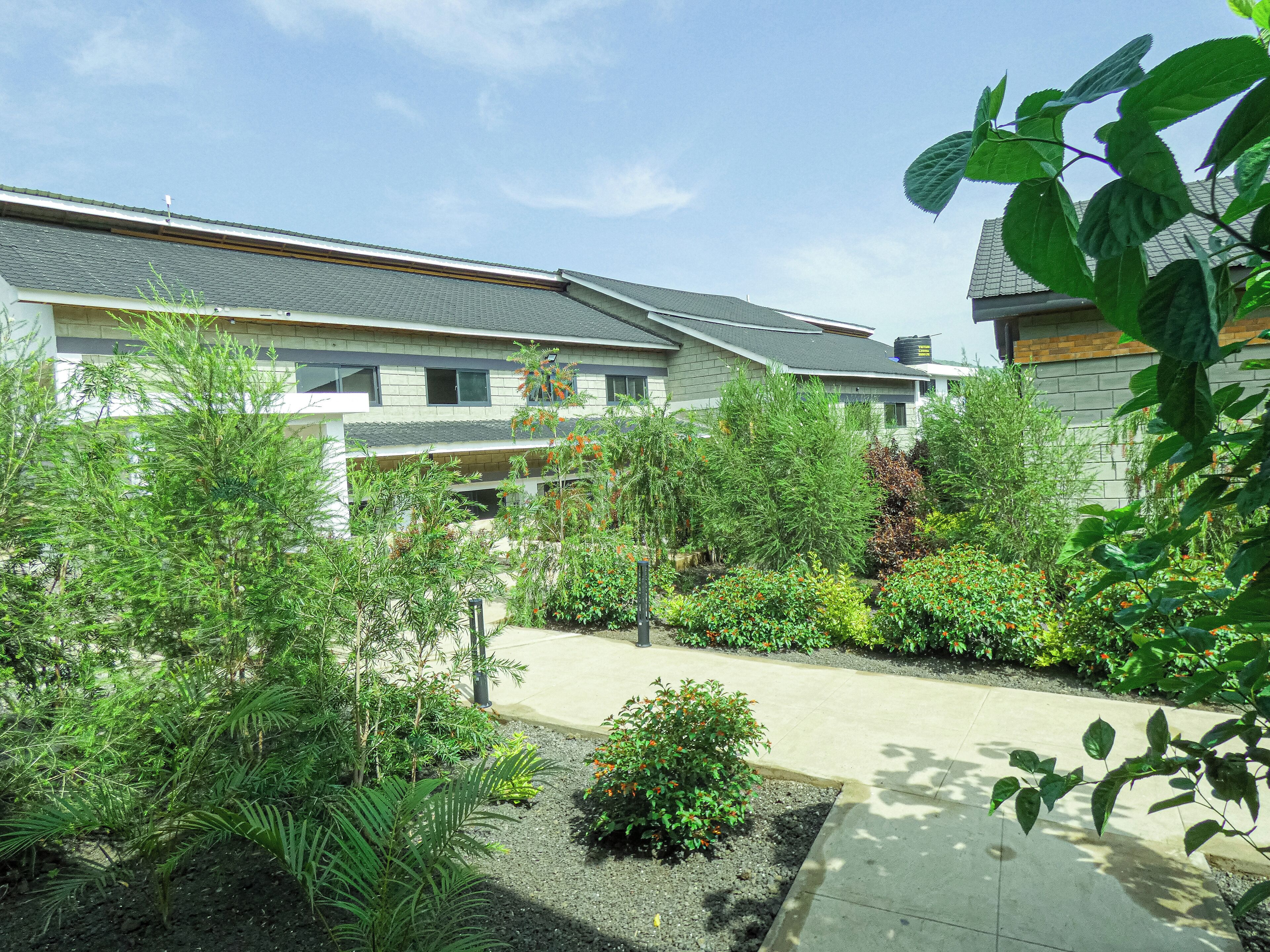 A residential building with a sloped roof, surrounded by various green plants and shrubs.