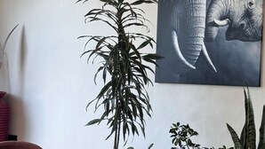 Un salon moderne avec une grande plante, un fauteuil, une table et un grand tableau représentant un éléphant accroché au mur.