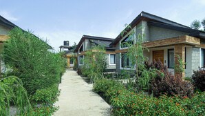 Une rangée de maisons modernes, avec un chemin en béton qui traverse un jardin où poussent différentes plantes et fleurs.
