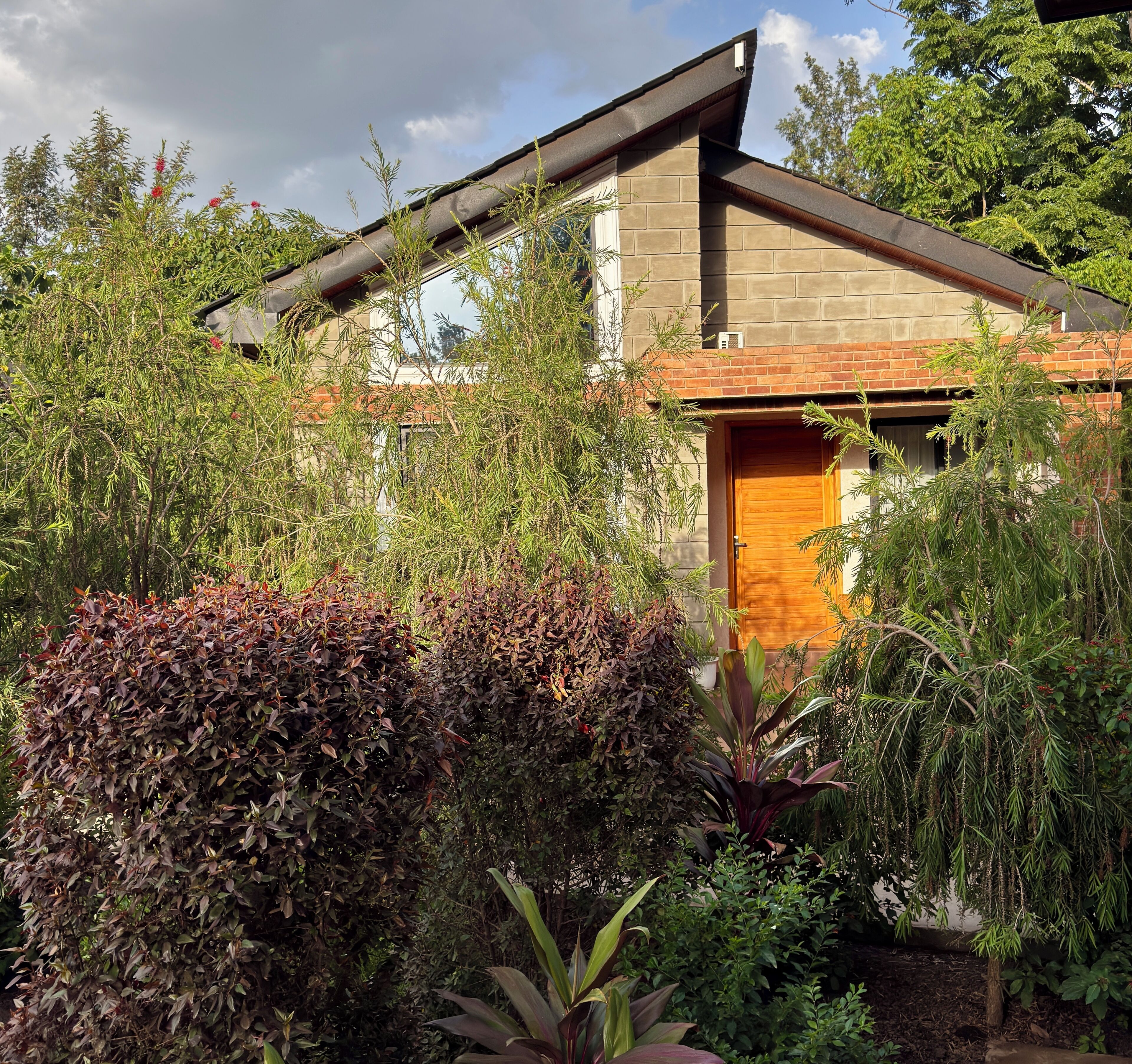 A modern house with a brick exterior, a wooden door, and a garden with various plants.