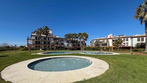 Zona de piscina amb disseny circular, envoltada per gespa ben cuidada i palmeres, amb edificis de diversos pisos al fons.