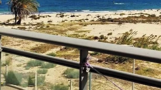 A beach view from a balcony with a palm tree and sandy beach in the foreground.