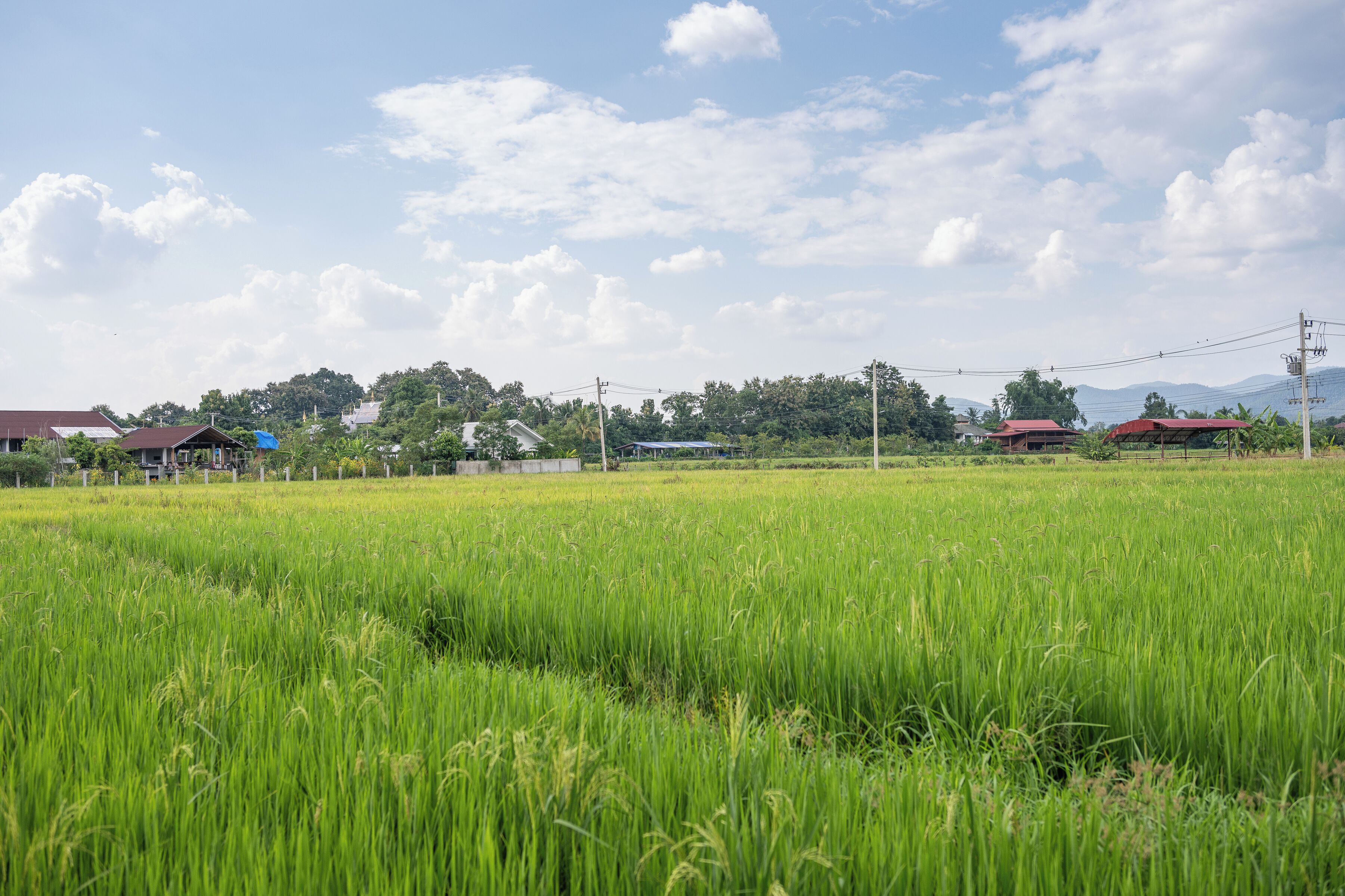 Een landelijk landschap met een groen veld, huizen en een heldere lucht.