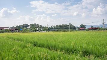 Een landelijk landschap met een groen veld, huizen en een heldere lucht.