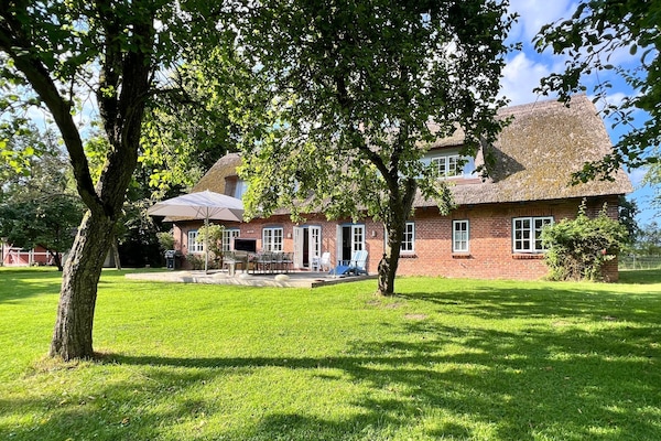 Hauptansicht