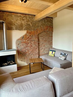 Télévision, cheminée, espaces bureaux