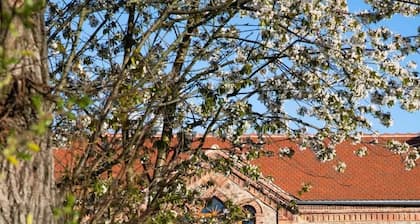 Sehr edle Architektengaleriewohnung mit Kaminofen, Whirlpool, Massagesessel, Balkon und mehr