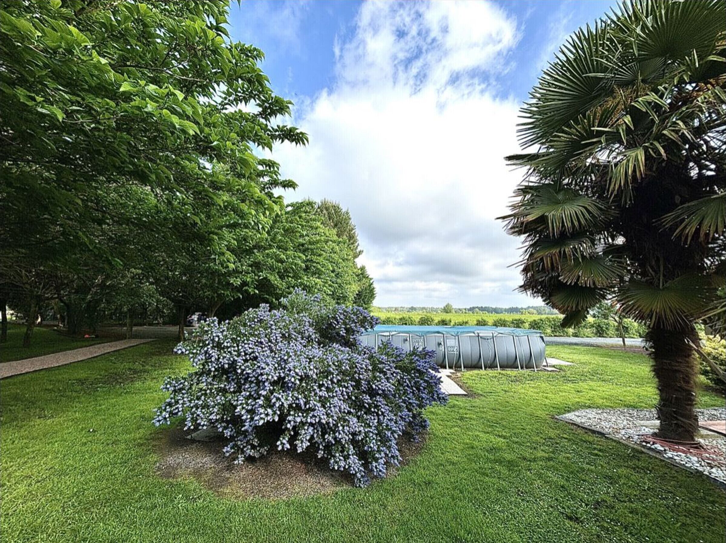 Un jardín bien cuidado con diversidad de árboles y un arbusto pequeño con flores moradas.