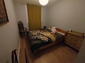 3 bedrooms, WiFi, bed sheets - T4 apartment in the center of town (Colomiers)